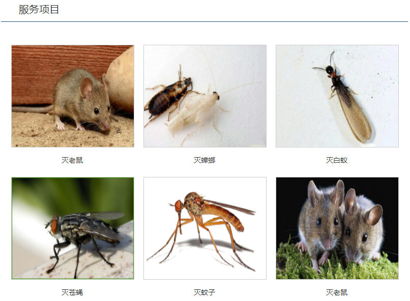 1-2004051644001C.png